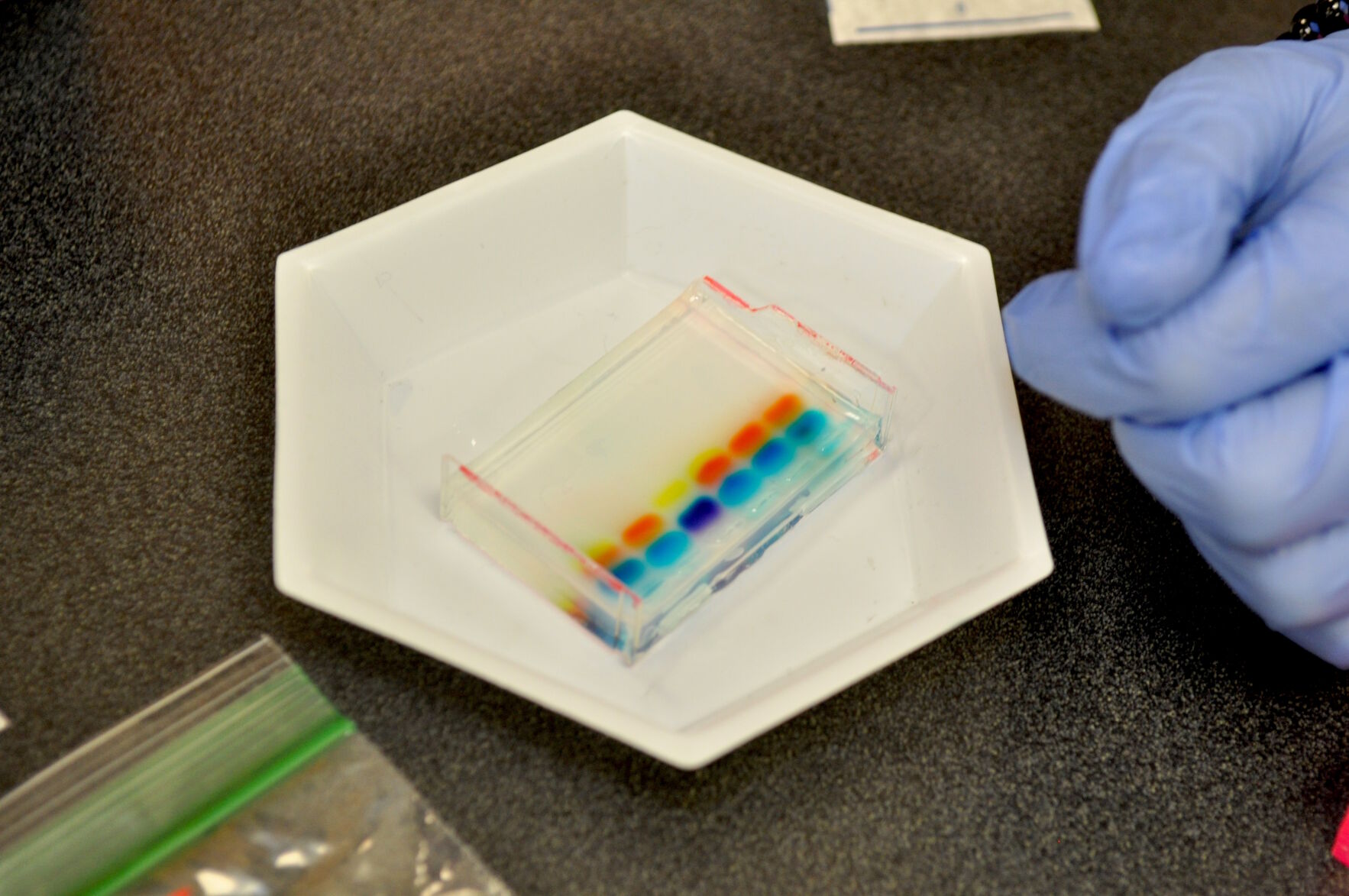 Camp exposes county eighth-graders to forensic science crime solving